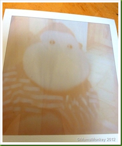 Polaroid picture