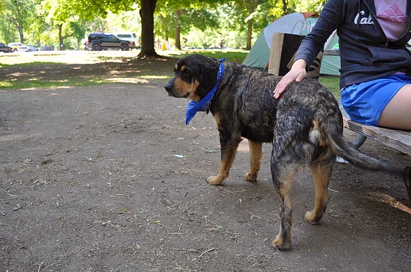 DSC_0703.JPG DSC_0703.JPG