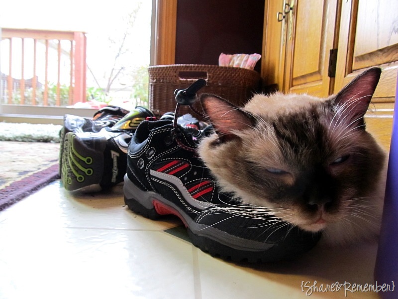 [stormyshoes%255B3%255D.jpg]
