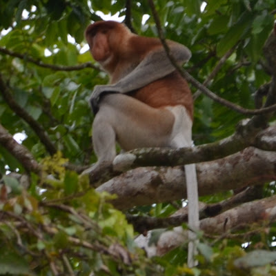 CSC_1374.JPG