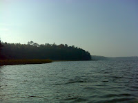 DSC07856.JPG Photo