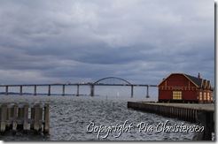 IMG_7398 IMG_7398