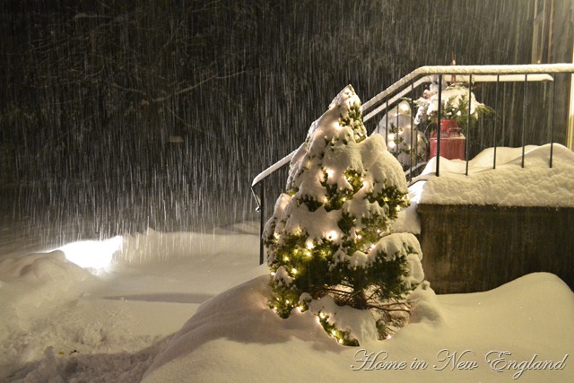 [DSC_0550%255B7%255D.jpg]