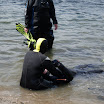 SDC10608.JPG
