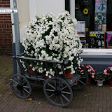 IMGP7887.JPG