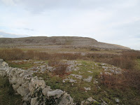 IMG_3224.JPG Photo