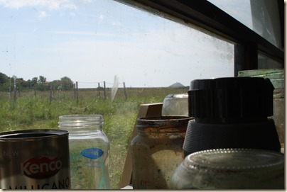 IMG_0343 IMG_0343