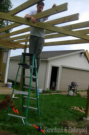 Adding the beams to the pergola