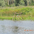 DSCN8241.JPG