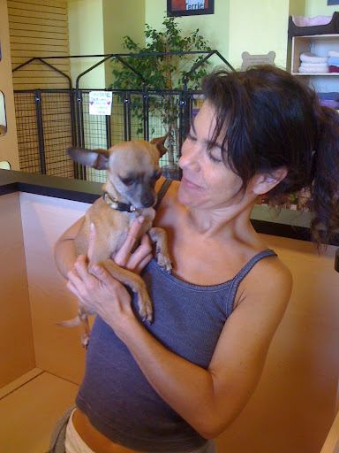 In fact 10 percent of those surveyed have celebrated Mother’s Day and Father’s Day with their dog,