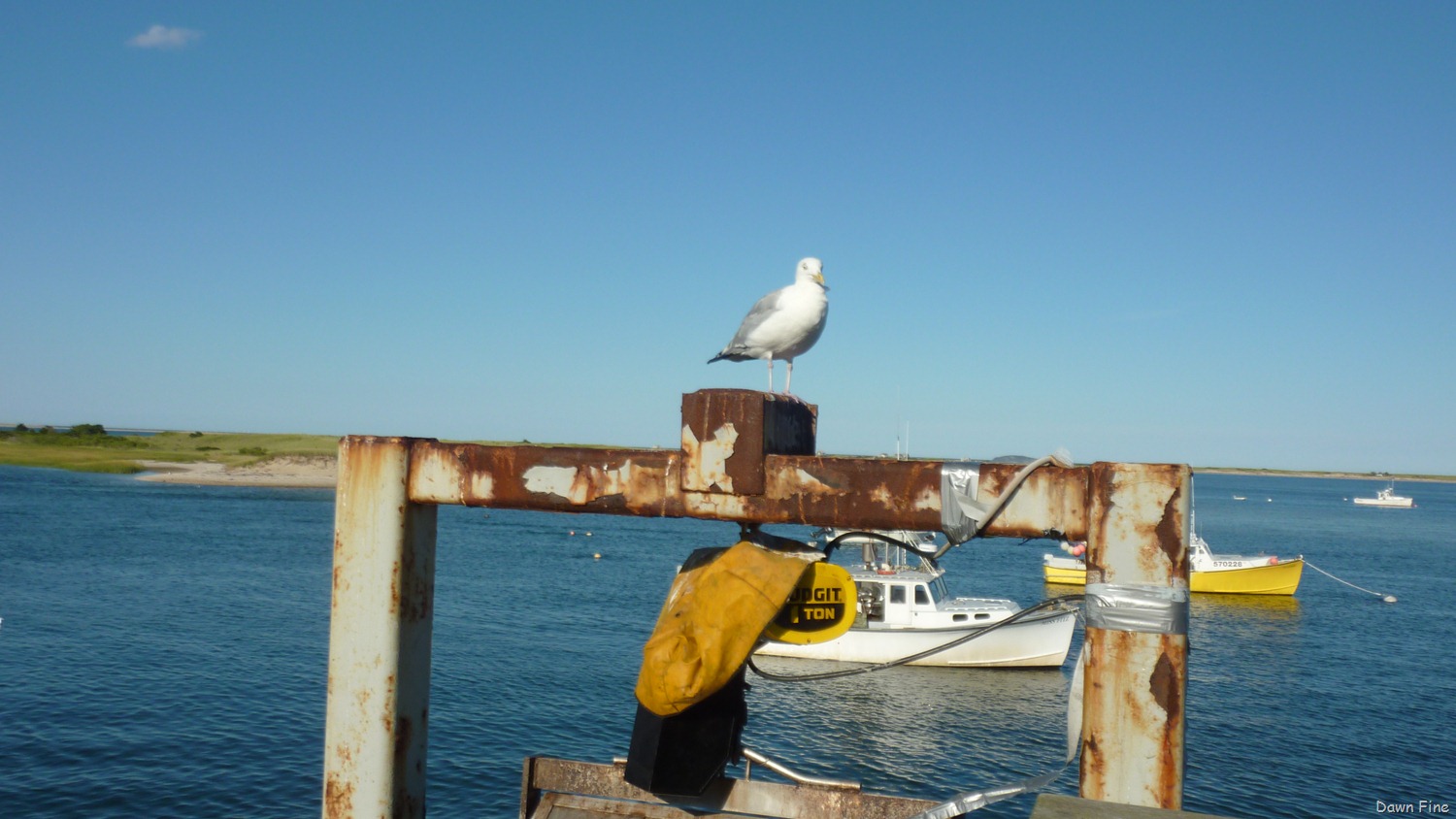 [Cape%2520Cod_010%255B3%255D.jpg]