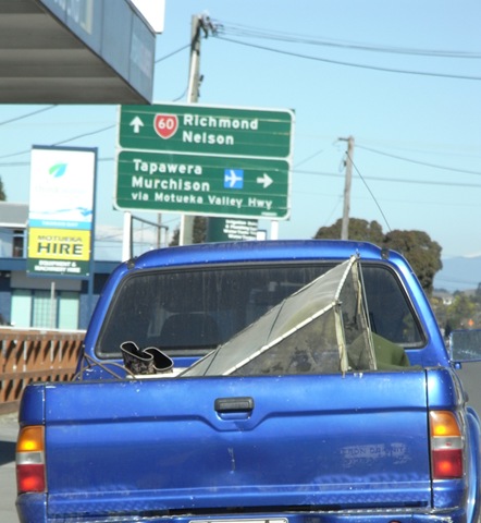 [R0016732-whitebait%255B4%255D.jpg]
