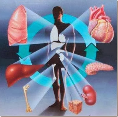 cuerpo y emociones cuerpo y emociones