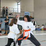 Kempoka Cup in Steinheim