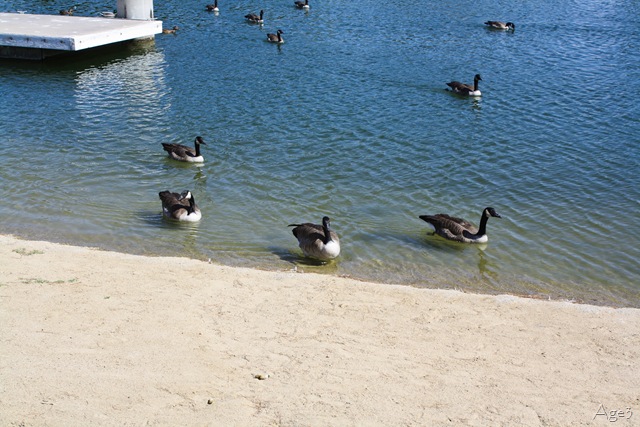 [IMG_2027%255B5%255D.jpg]