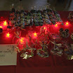 IMG_2871.JPG