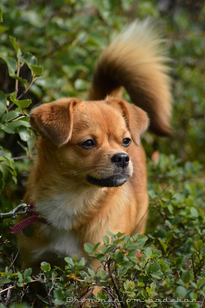 DSC_0069 DSC_0069