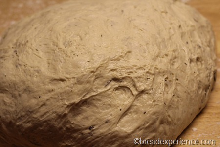 fougasse_1164 fougasse_1164