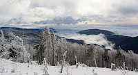IMG_7486.jpg Photo