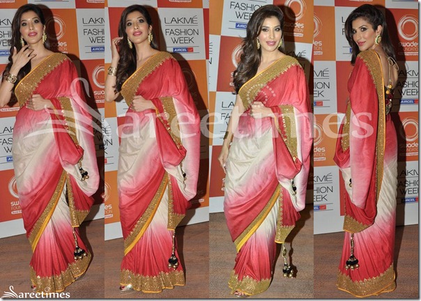 Sophie_Chaudhary_Vikram_Phadnis_Saree