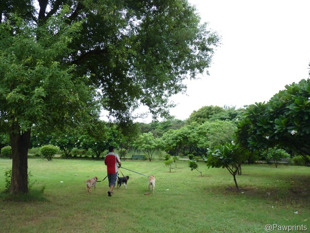 [park%25202%255B8%255D.jpg]