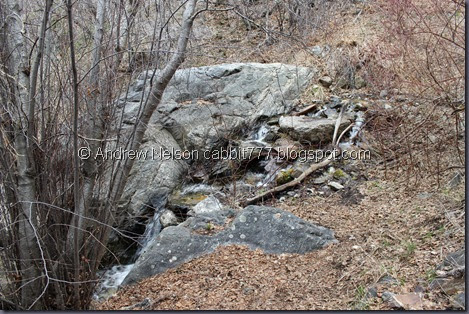 IMG_2438 IMG_2438
