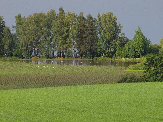[P6142171%255B4%255D.jpg]