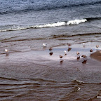 20100825_013_small.JPG