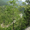SDC12103.JPG