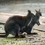 20100402_178.JPG