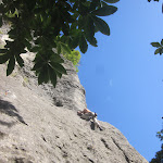 IMG_1177.JPG