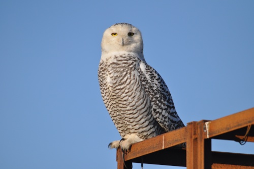 DSC_0104.jpg DSC 0104