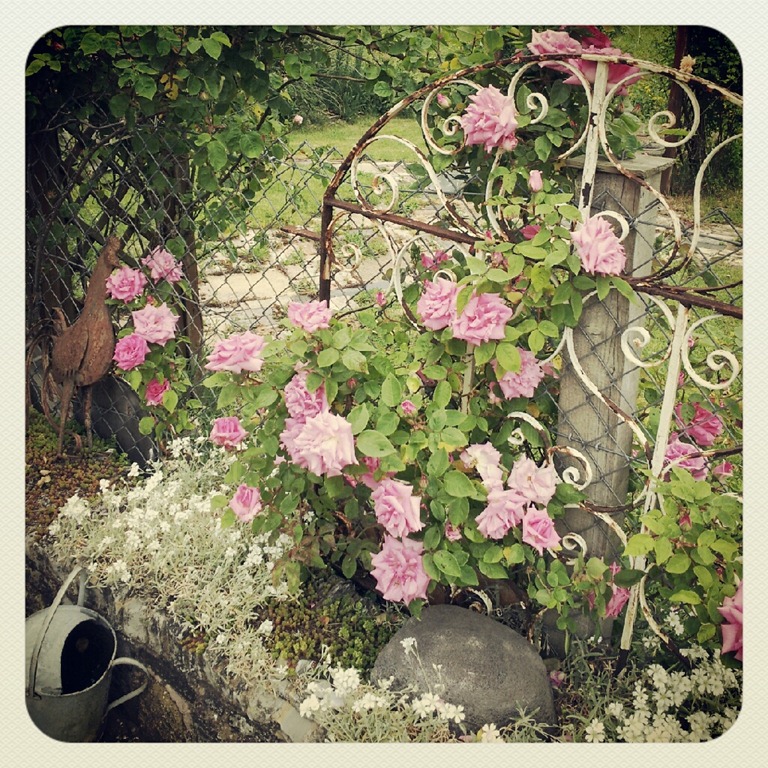 [IMG_20120601_161416%255B3%255D.jpg]