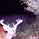 MDGC0010.JPG