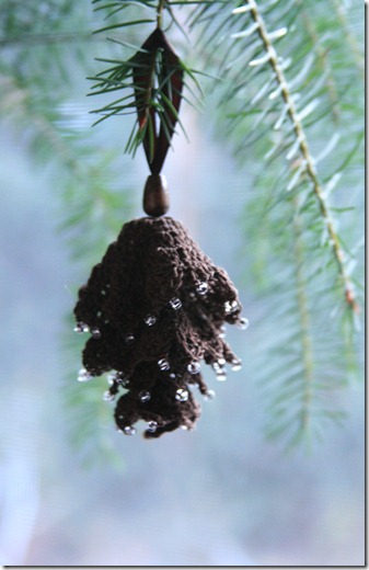 christmas 2011 026