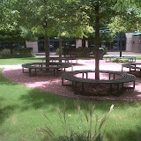 IMG00273-20110729-1325.jpg