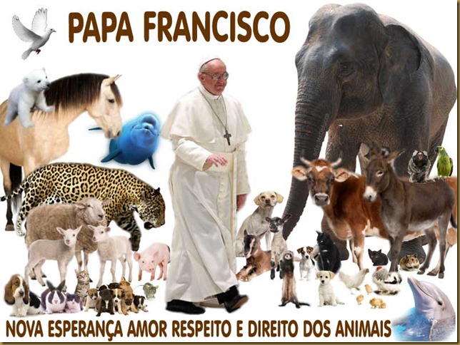 papa_francisco_animais papa_francisco_animais