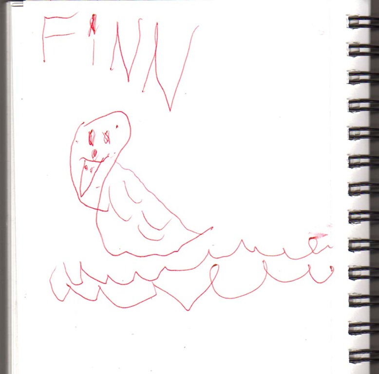 [bird-finn%255B3%255D.jpg]