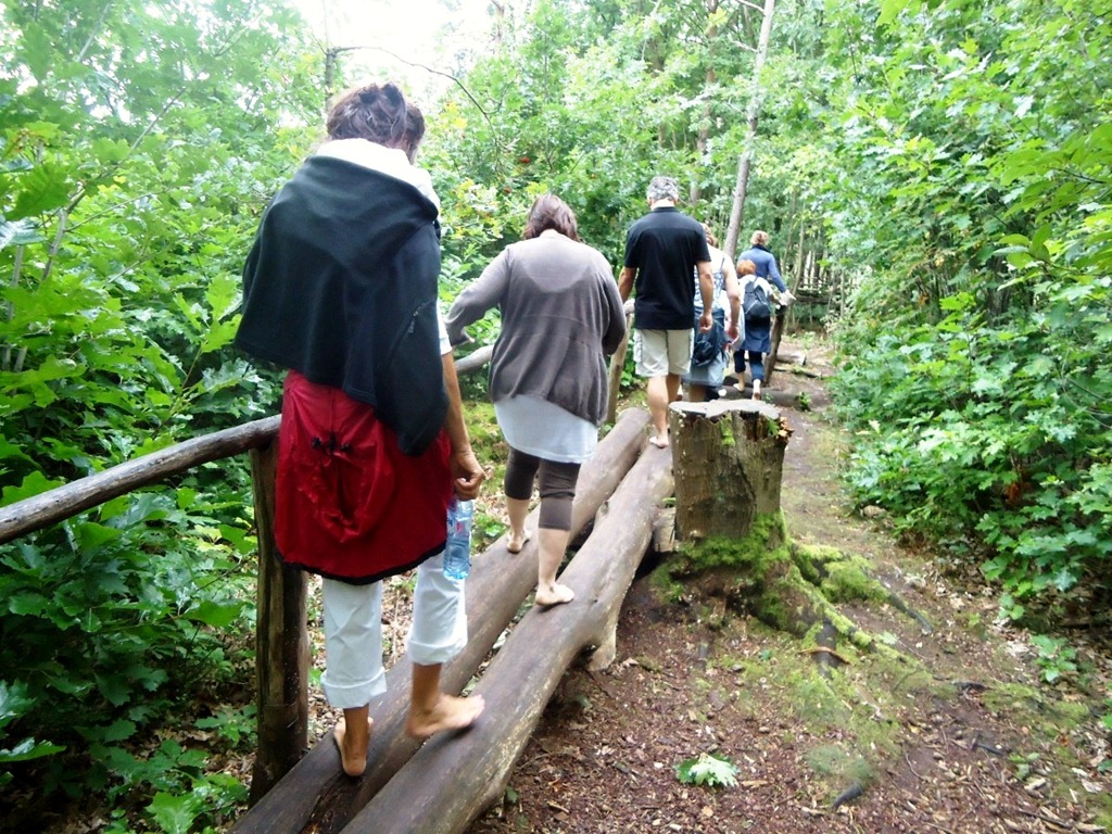 [DSC05424%255B8%255D.jpg]