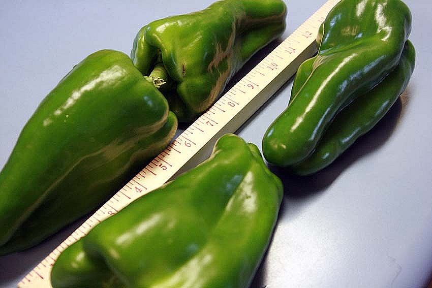 [BigBertha2%255B6%255D.jpg]
