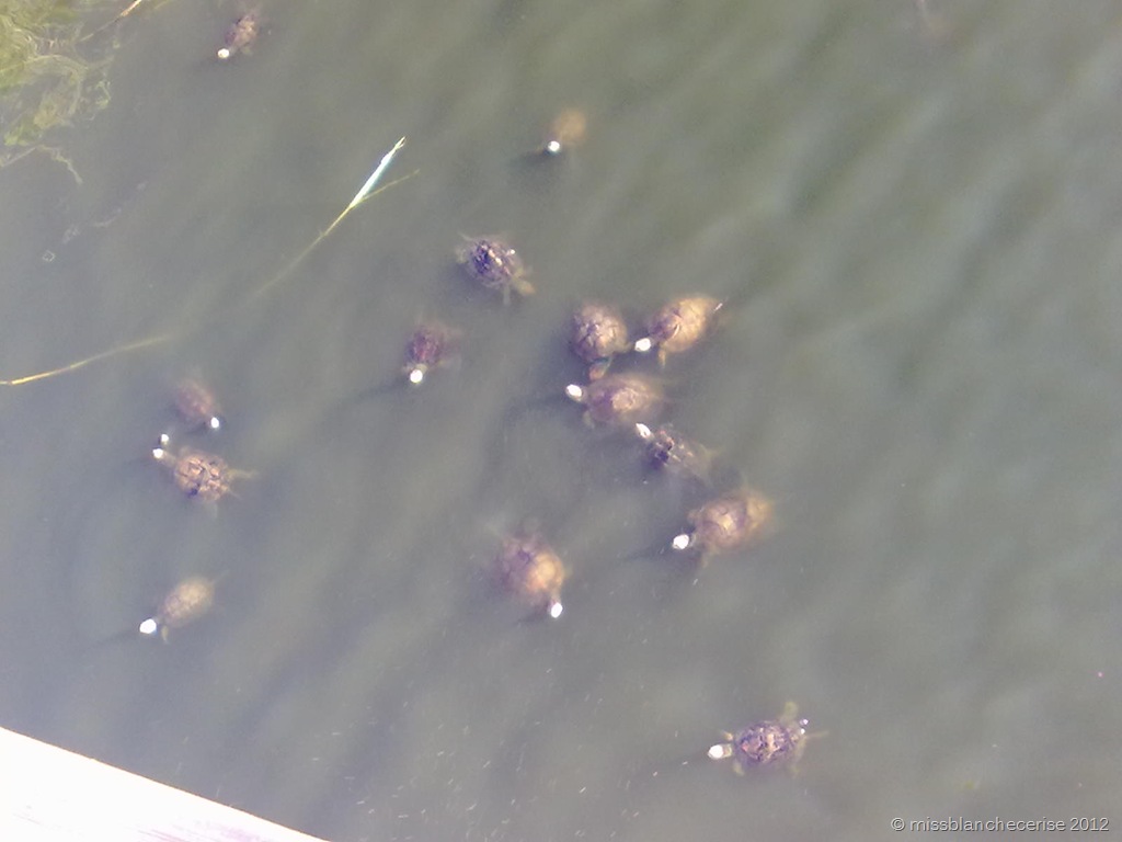 [270820121156%255B4%255D.jpg]