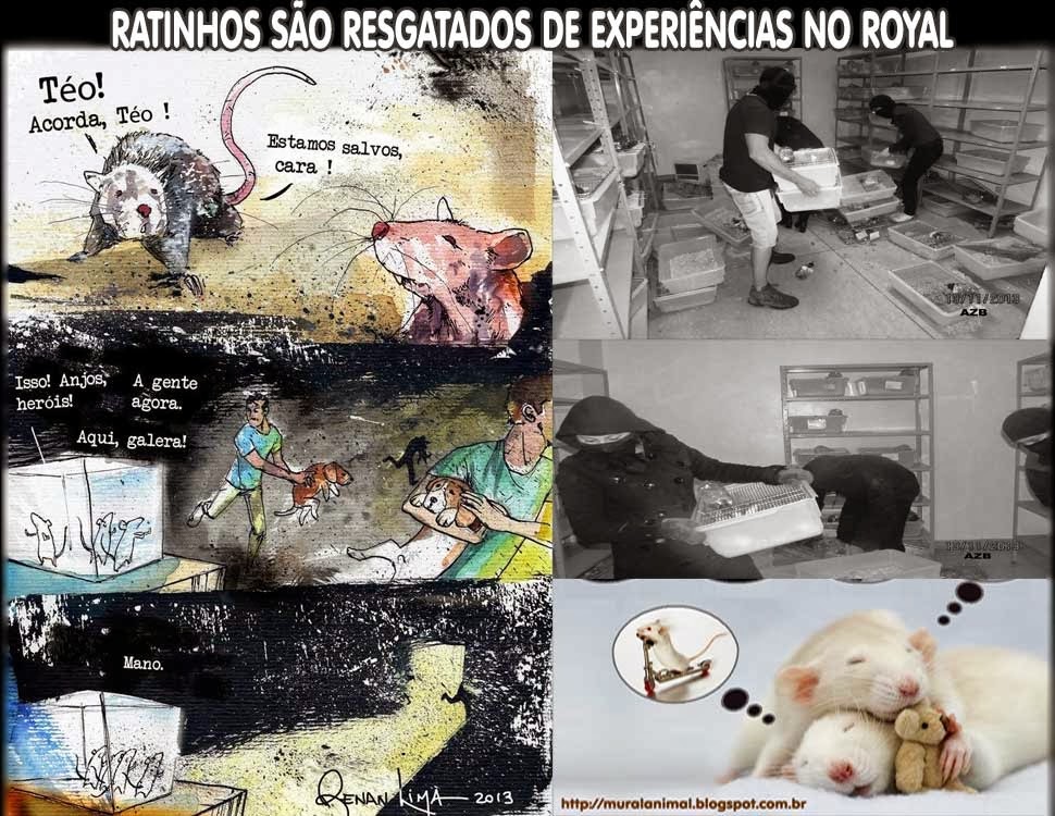 [ratos-salvos-royal%255B3%255D.jpg]