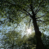 Wandeling Brasschaat 2009