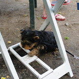 IMGP6145.jpg