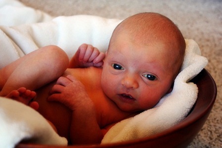 IMG_3830edit IMG_3830edit
