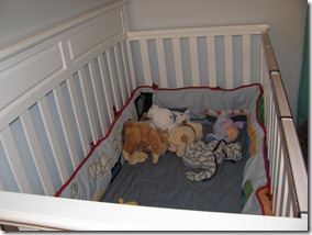 IMG_0413 IMG_0413