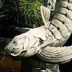 Jardim Bot&Atilde;&cent;nico da Ajuda