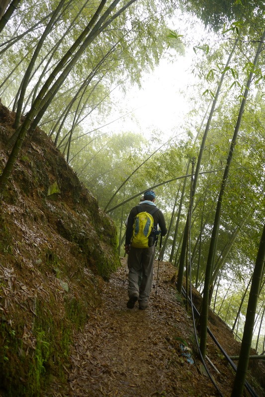 2013_0413 橫嶺山木馬古道_001 2013_0413 橫嶺山木馬古道_001