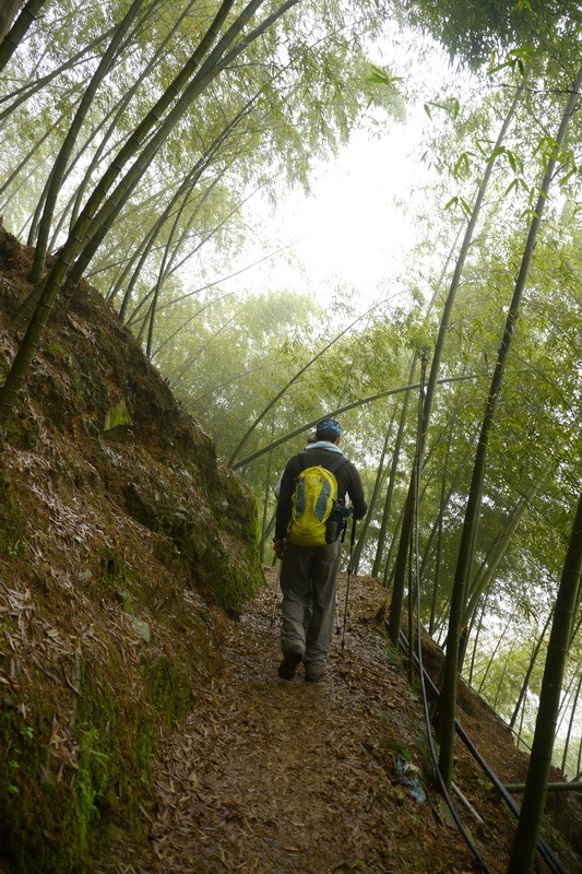 2013_0413 橫嶺山木馬古道_001