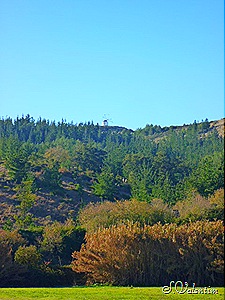 [P11303676.jpg]